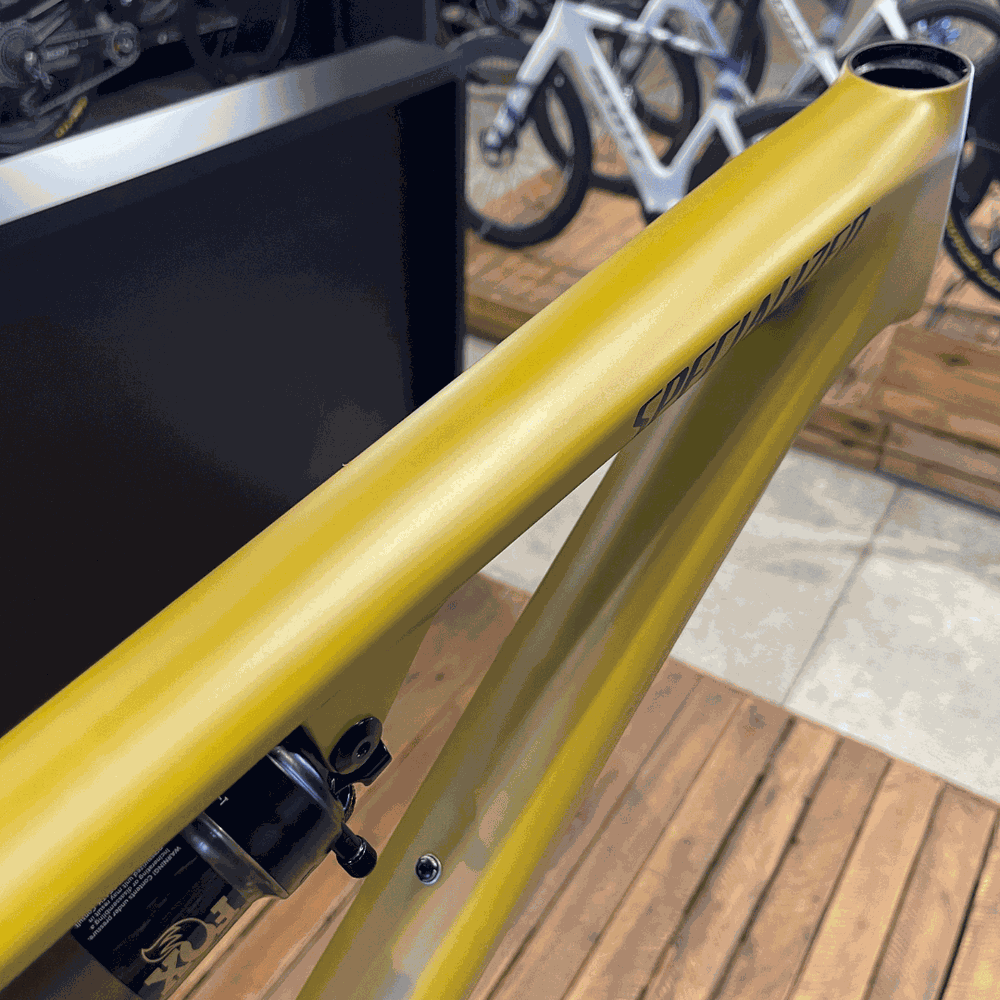 quadro_specialized_epic_evo_co