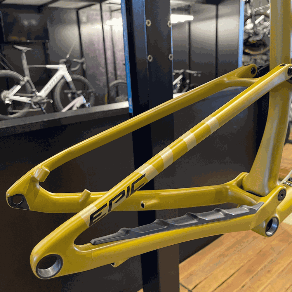 quadro_specialized_epic_evo_co