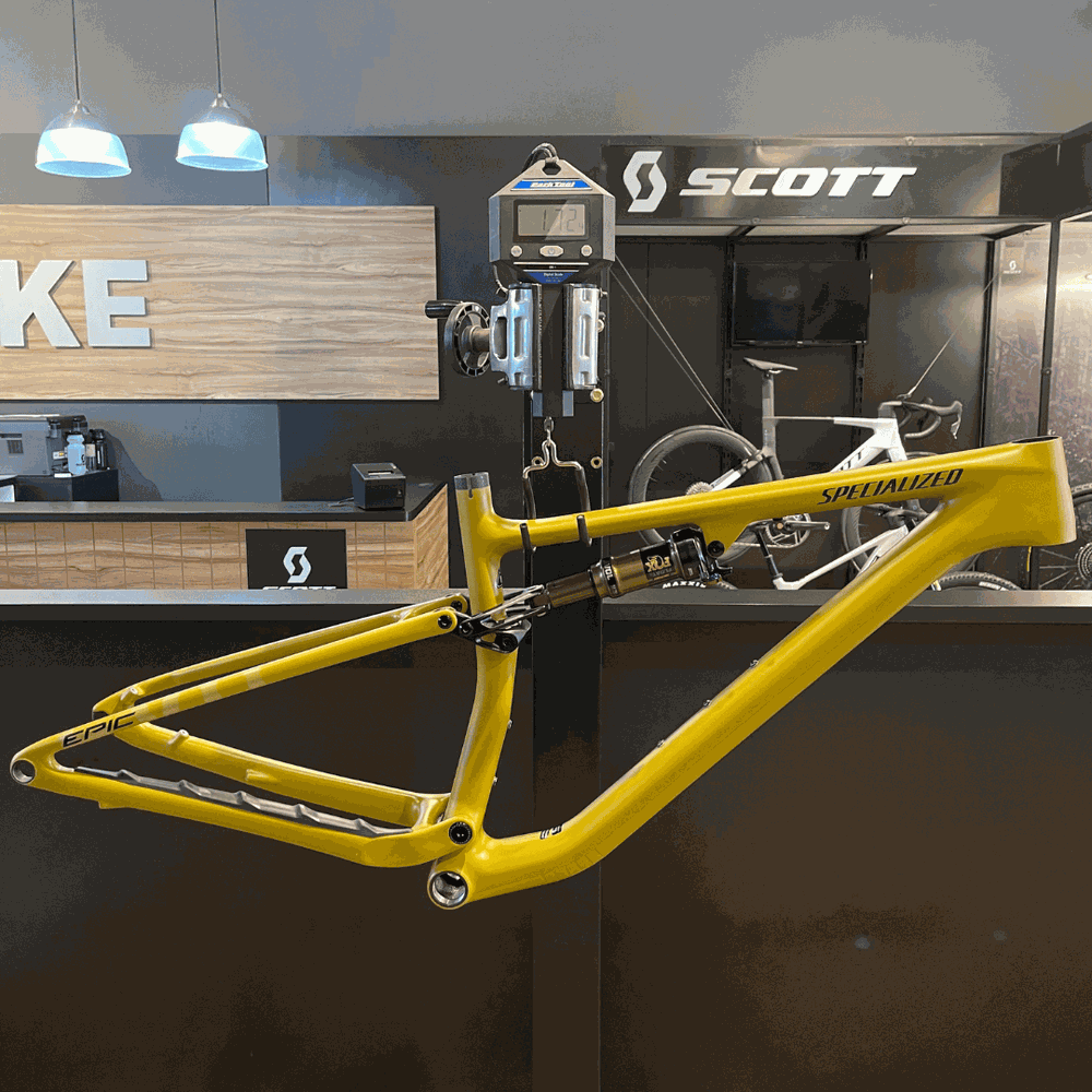 quadro_specialized_epic_evo_co