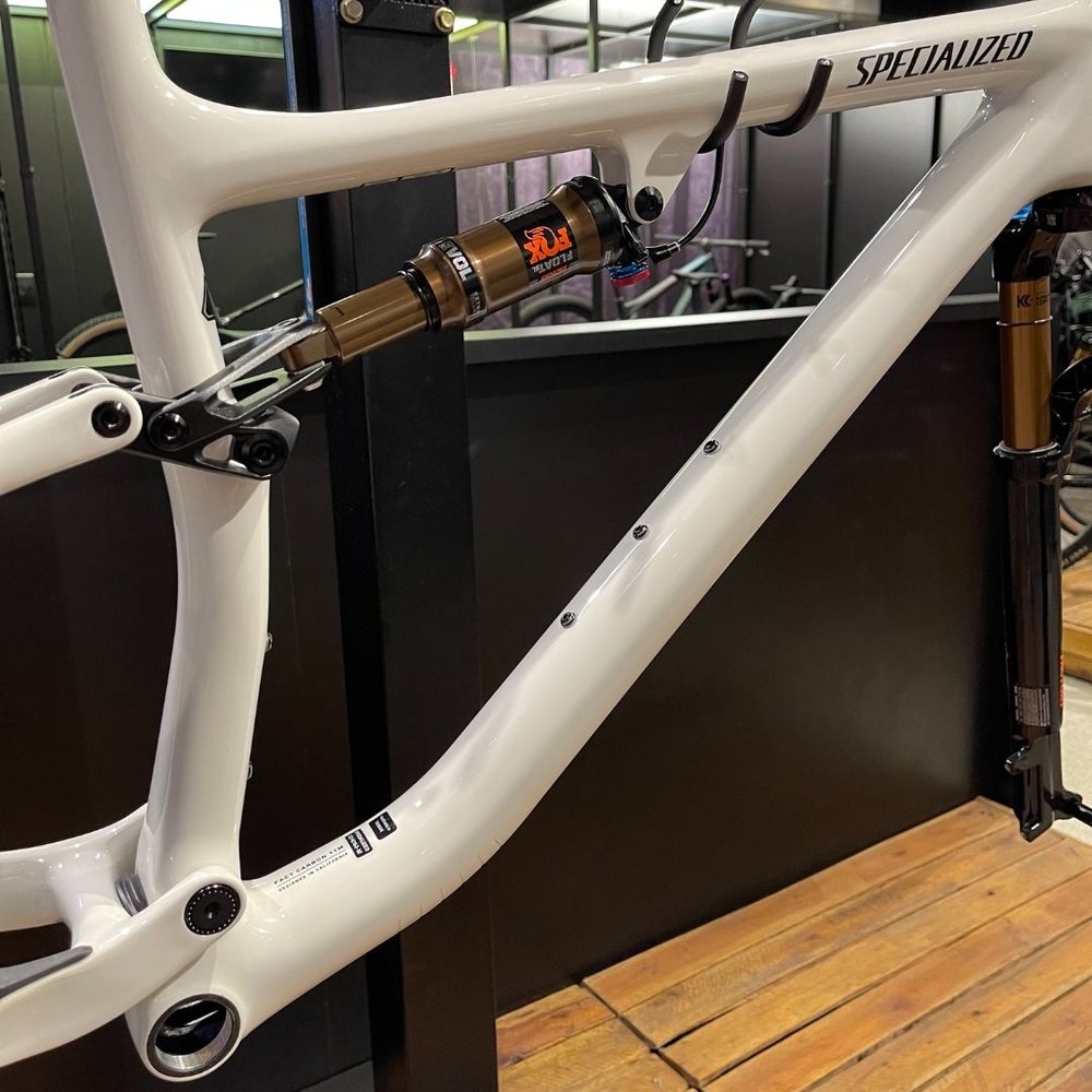quadro_specialized_epic_evo_co