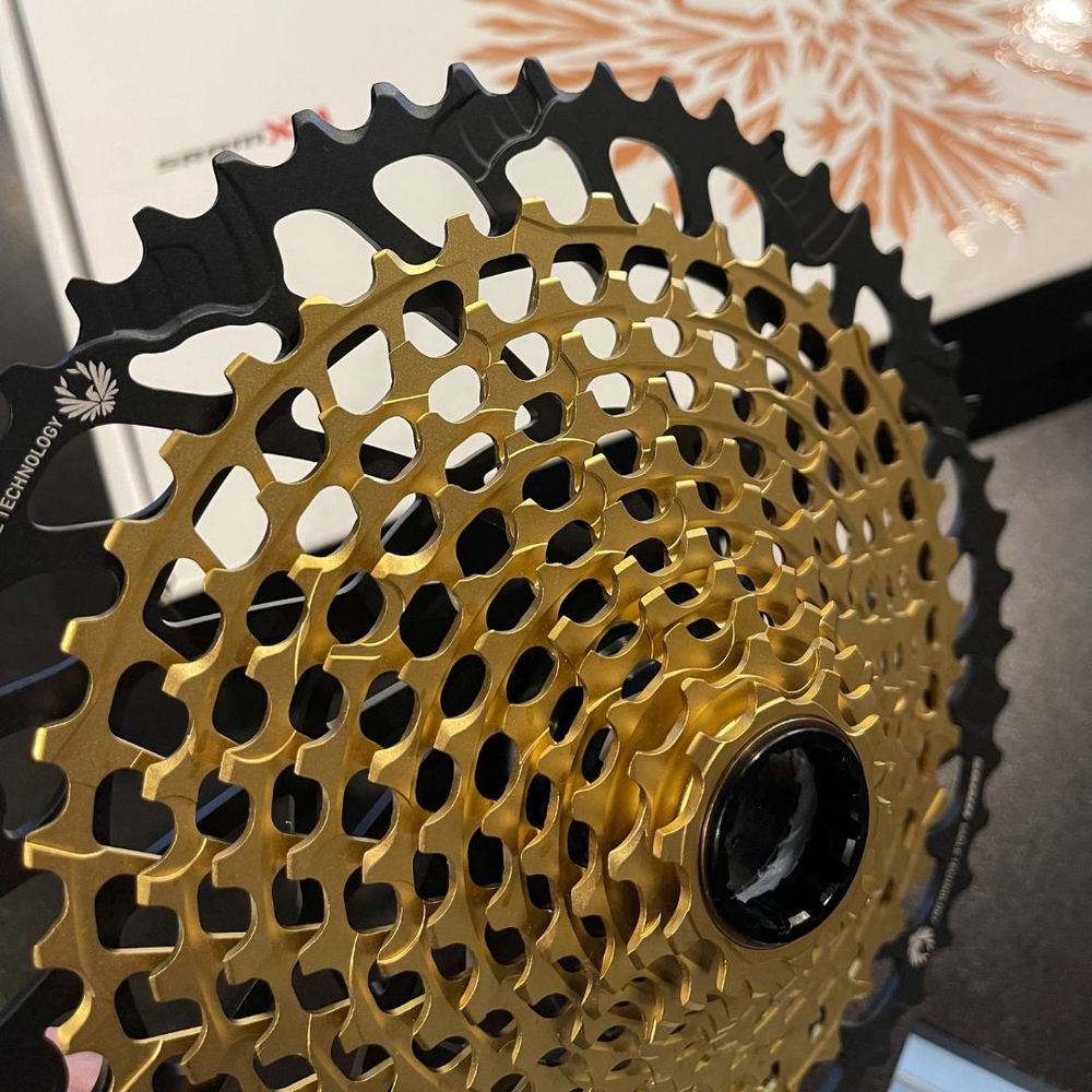 Gemix10 Gold カナリィsr 10 Gold ピュールsr psa10 Cassete Sram XX1 Eagle Dourado 12v - Revolution Bikes: Scott, SRAM
